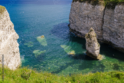 View from the clifftop - a cove with a seastack close to Flamborough Head. This stunning coastline is home to thousands of seabirds who make their nest on the chalk cliffs. photo