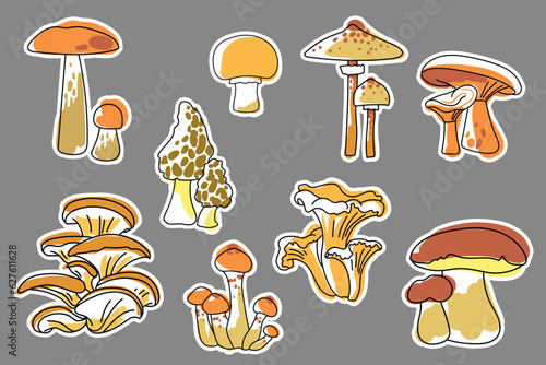 Set of stickers with edible mushrooms. Boletus porcini, Aspen bolete, chanterelle, morel, honey fungus, oyster, parasol, champignon, boletus edulis. Collection of stickers, patches, pins. Vector.