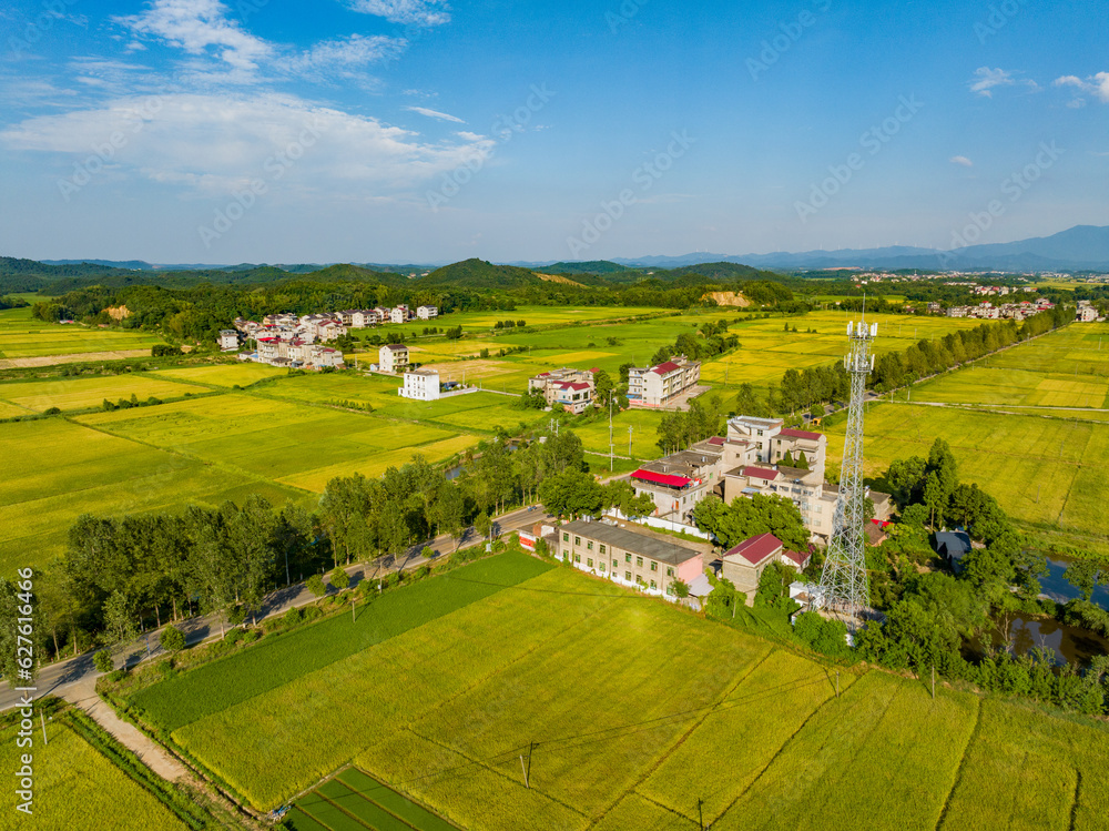 Overlook of Chinese rural houses and river scenery