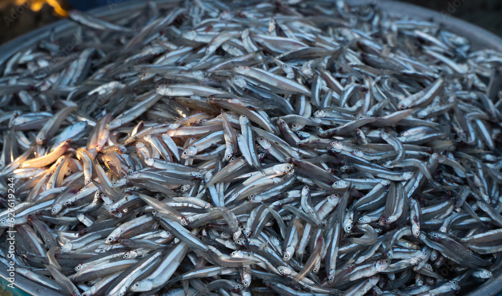 Small fresh anchovy background, just caught ashore. On display at the seafood market for sale. Seafood trade concept. Seafood background. Small fresh anchovy background, just caught ashore. On display at the seafood market for sale. Seafood trade concept. Seafood background.