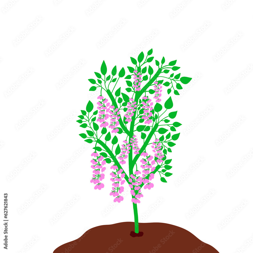 Obraz premium beautiful flower plant painting png