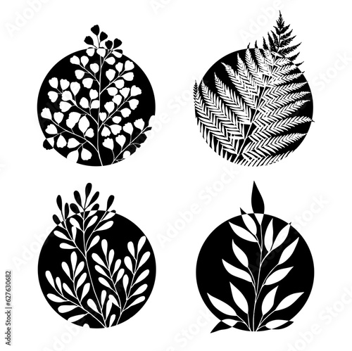 Beauty black logo collection with fern and herbs. Vector illustration for icon, logo, sticker, printable and tattoo