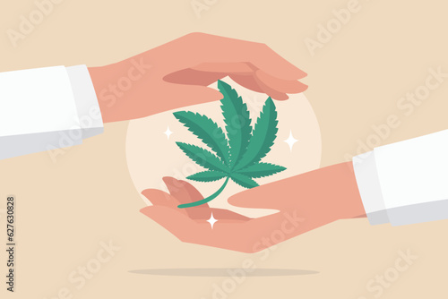 Cannabis care program, marijuana alternative medicine, legalize medical, weed or ganja concept, doctor hand holding cannabis green leaf.
