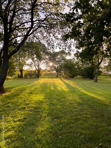 Skoggor och trädgård.