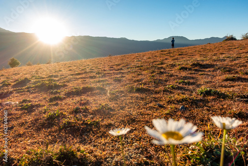 Konstfotografi Man Standing in the corner facing the morning Sun in the Himalayan meadow with grass and flowers