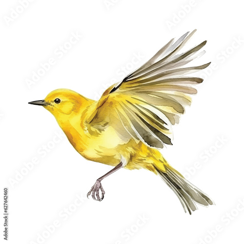  Yellow Warbler watercolor paint 