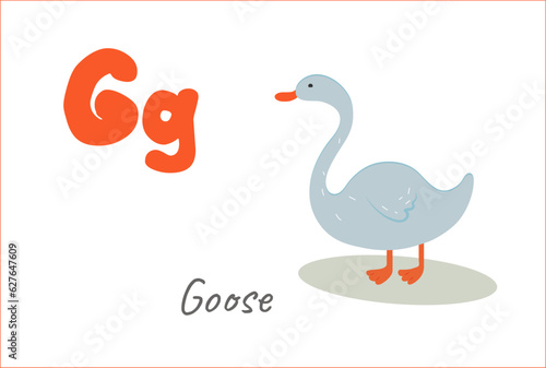 gray goose letter G for English alphabet
