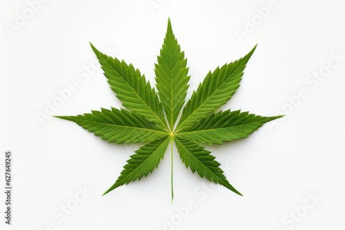 Cannabis leaf and hemp oil view from above empty white space. AI generated