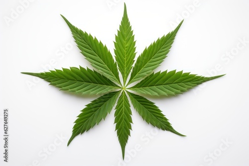 Cannabis leaf and hemp oil view from above empty white space. AI generated