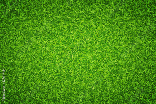 Lawn green grass background. Vector