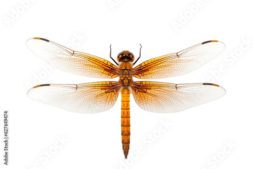 Orange Dragonfly Top View Isolated on Transparent Background. Generative AI