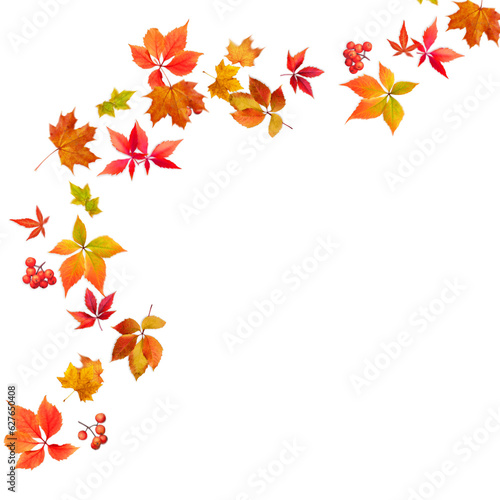 autumn leaves background
