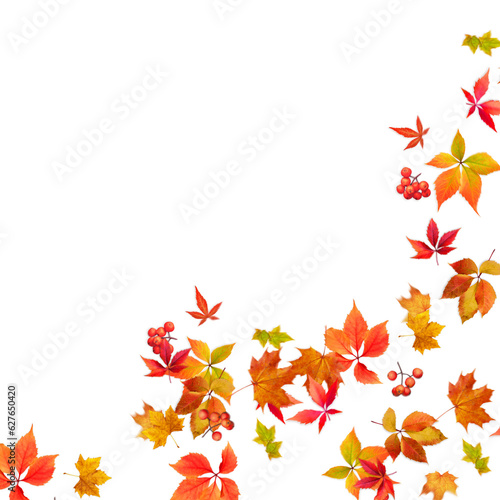 abstract autumn background