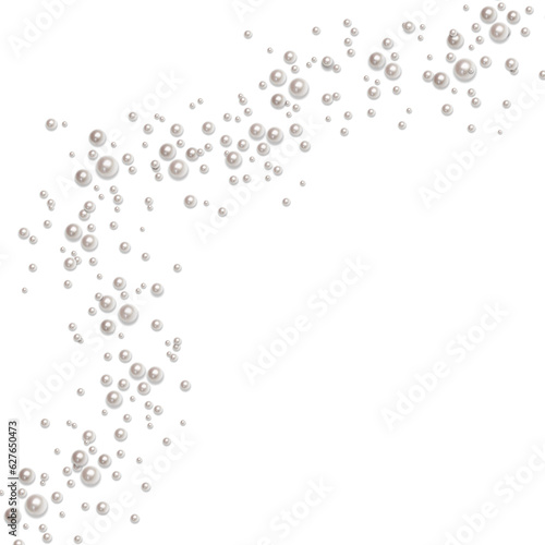 Εκτύπωση καμβά pearl frame without background