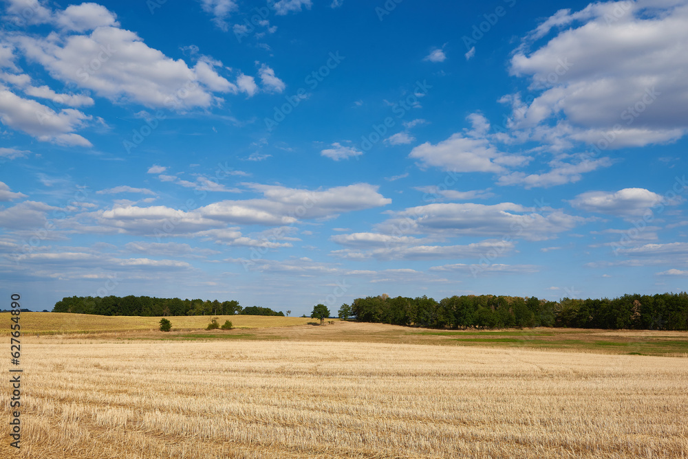 Sommer 2022 in Sachsen	