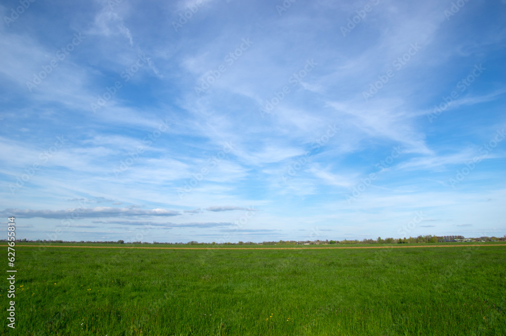 Landscape of green meadow