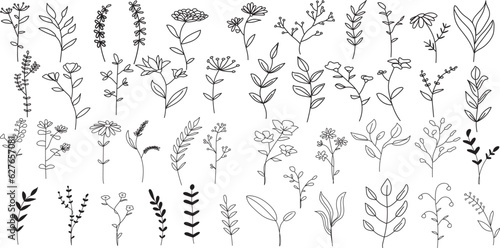 Botanical Lineart Clipart Wildflowers Clipart Floral Line Art Pencil Drawing Herbs Illustrations Minimalist Bouquets Wreath Leaves Flowers
