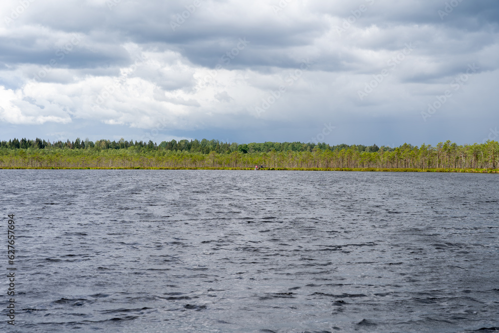 Bog lake in Luhasoo bog in Estonia Bog lake in Luhasoo bog in Estonia