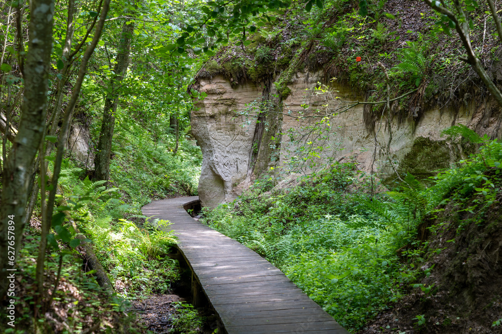 Obraz premium Sandstone cliffs and walkway in Hinni canyon (Hinni kanjon) Estonia