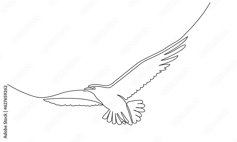 Continuous line Flying bird drawing .white background for decorative element.Doodle vector illustration Line art, outline. Continuous line Flying bird drawing .white background for decorative element.Doodle vector illustration Line art, outline.