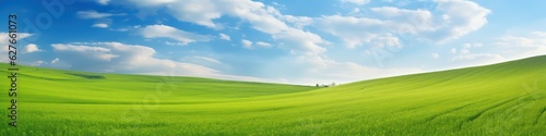 Panoramic natural landscape with green grass field meadow and blue sky with clouds, bright sun and horizon line. Panorama summer spring grassland in sunny day © Eli Berr