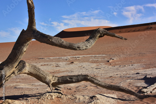 Namib desert © Tobi