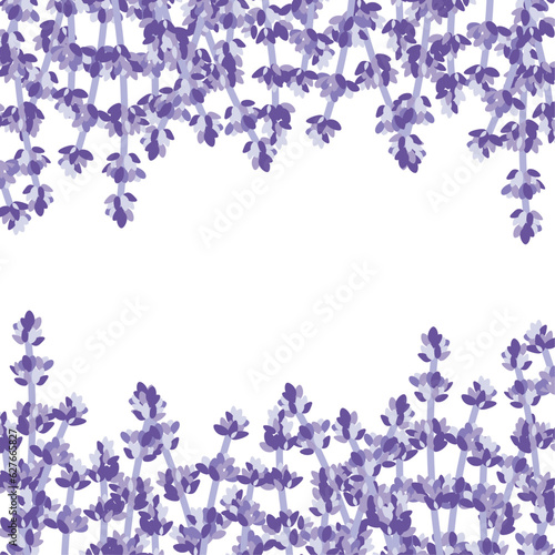 picture with sprigs of lavender on a light background