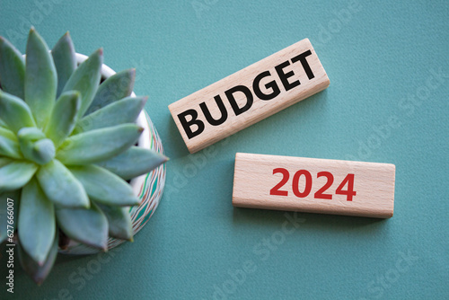 Budget 2024 symbol. Wooden blocks with words Budget 2024. Beautiful grey green background with succulent plant. Business and Budget 2024 concept. Copy space.
