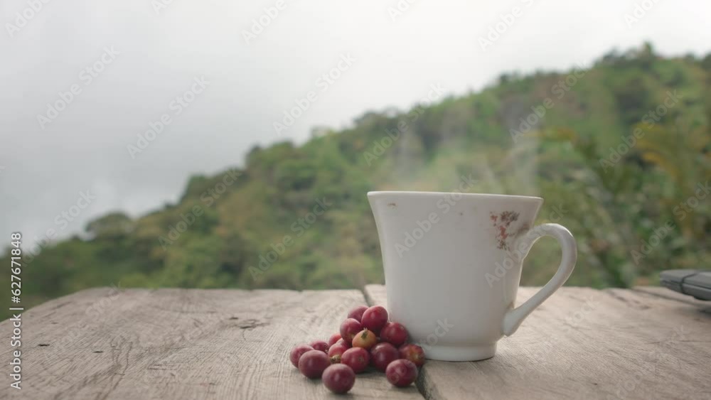 Cup of coffee and berries with beautiful mountains with fog landscape Cup of coffee and berries with beautiful mountains with fog landscape