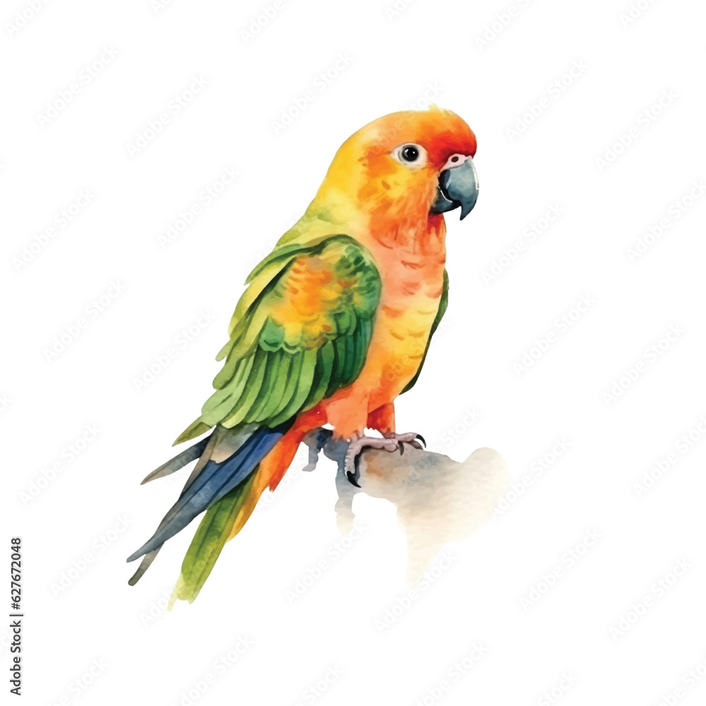 Obraz premium Sun Conure watercolor paint 