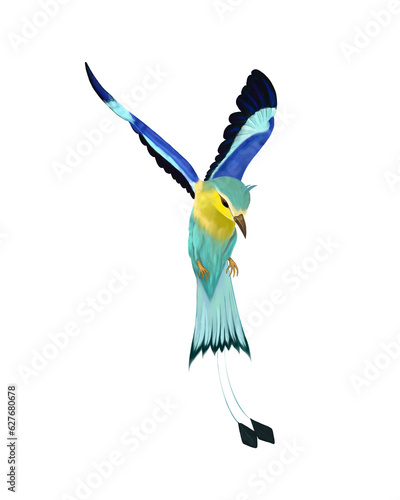 Hand drawing bird in blue-yellow and turquoise colors