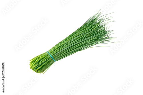 Green chives leaves vegetable bunch tied with blue rubber band isolated transparent png. Allium schoenoprasum. photo