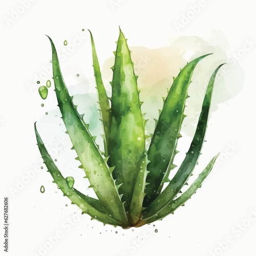  Aloe Vera watercolor paint