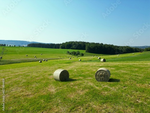 Fields, forest, pastures, aerial view photo