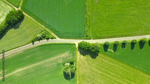 Fields, forest, pastures, aerial view photo