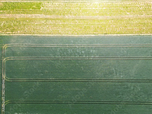 Fields, forest, pastures, aerial view