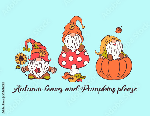 Autumn fall greeting card. Cute gnome on a big pumpkin, on a toadstool, with sunflower and fall leaves. Sweet character scandinavian gnome children vector illustration. Whimsical card design template.