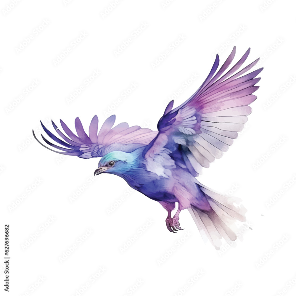 Lilac-breasted Roller bird watercolor paint