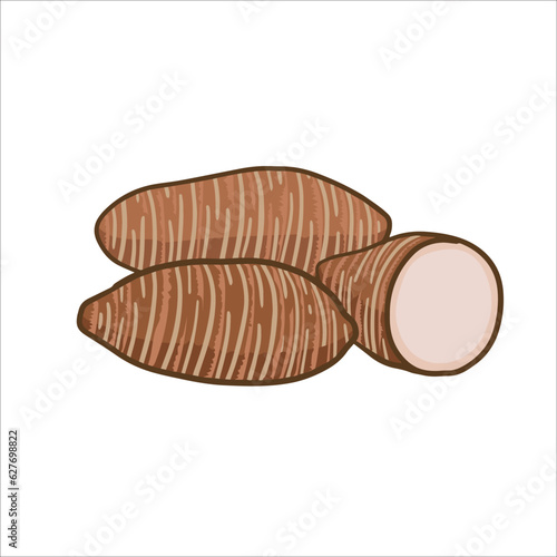taro vector illustration as a fresh plantation product on a white background, can be used as a banner, poster or template