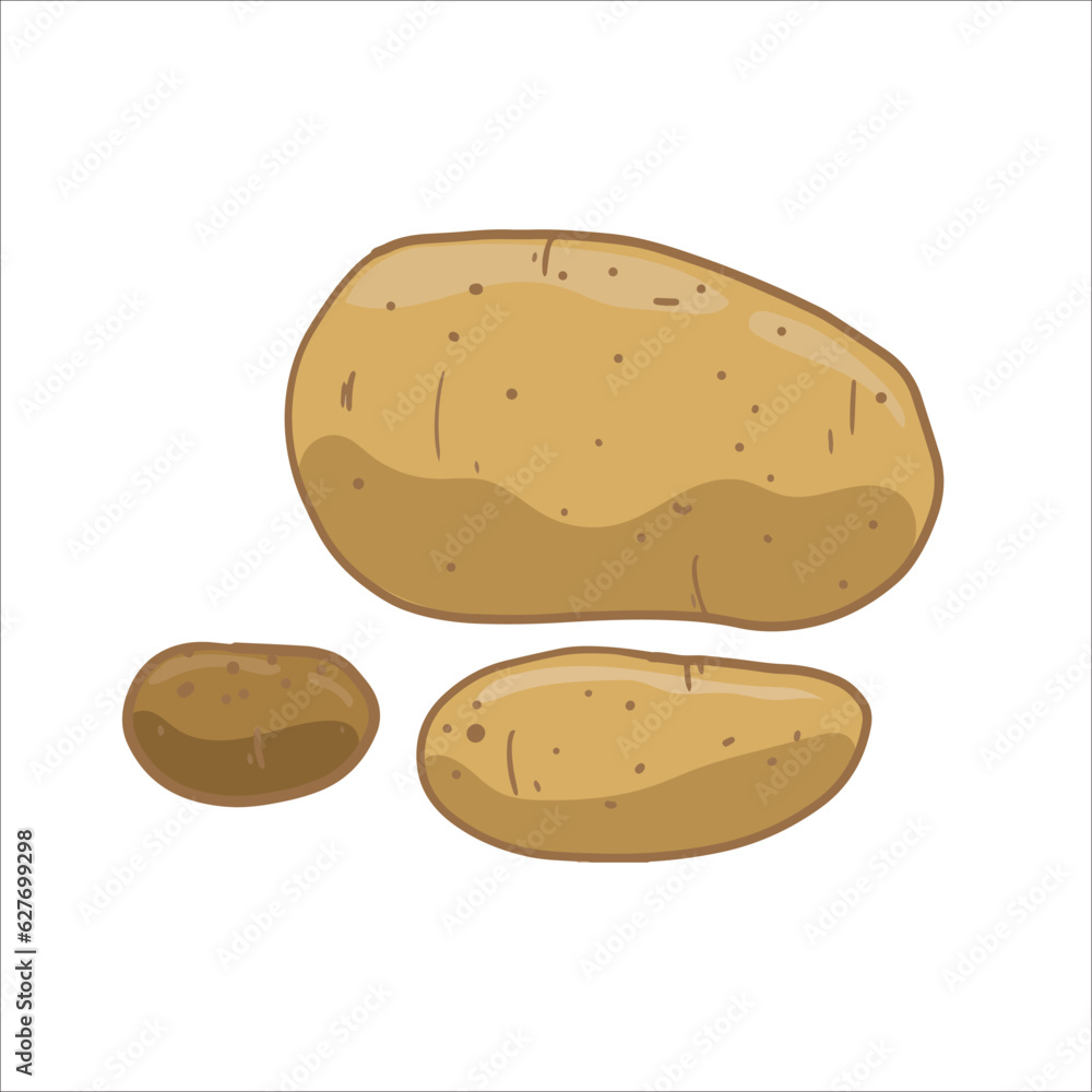 vector illustration of potatoes as a fresh plantation product on a white background, can be used as a banner, poster or template vector illustration of potatoes as a fresh plantation product on a white background, can be used as a banner, poster or template