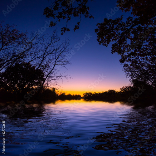tree silhouette reflected in water after sunset  calm lake in forest at the twilight