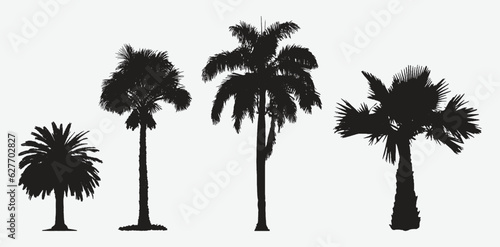 Stunning Collection of Exquisite Palm Tree Silhouettes: An Enchanting Tropical Oasis!