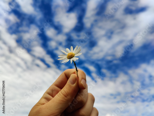 a close up f hand holding white daisy flower against blue sky with clouds