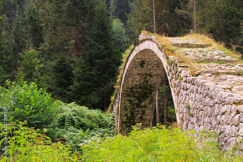 Old stone bridges over the Fırtına Stream, very solid and useful photo