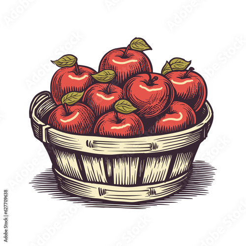 Basket of apples. Autumn harvest. Vector illustration, isolated on white background.