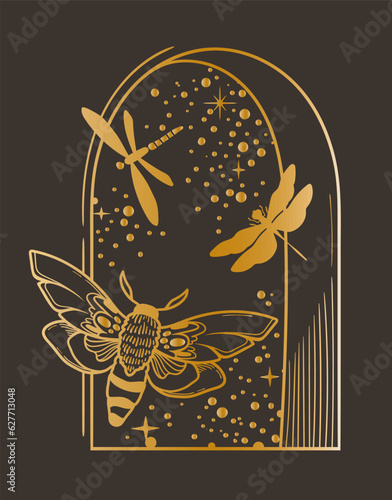 Mystical celestial composition with night window, moth and dragonfly, vector clipart in gold foil texture on dark background, magic lunar insect silhouettes, isolated element