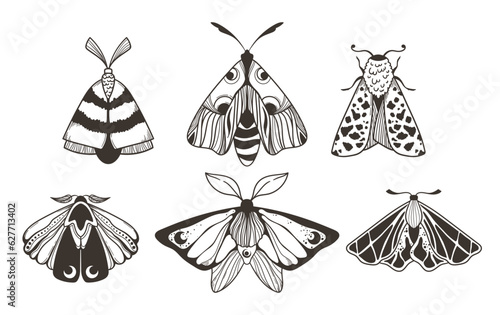 Mystical celestial moth and butterfly clipart bundle, magic black and white insects silhouettes in vector, unreal hand drawn line night moth, isolated elements set