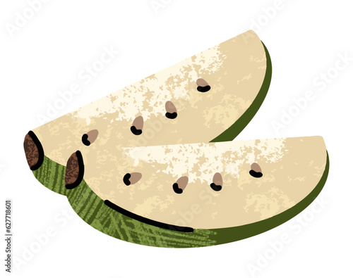 feijoa fruit, simple illustration in abstract flat sketch drawing style, healthy food