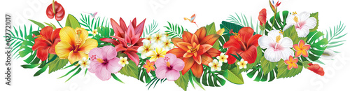 Banner from Strelitzia flowers and tropical plants