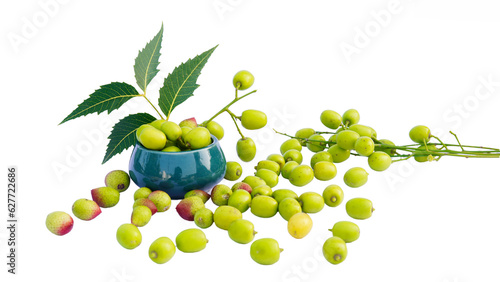 Fresh green neem fruit of Indian Lilac fruit in a bowl isolated on white along with its oil in a transparent glass bottle. neem leaves,bark, Horizontal shot. photo